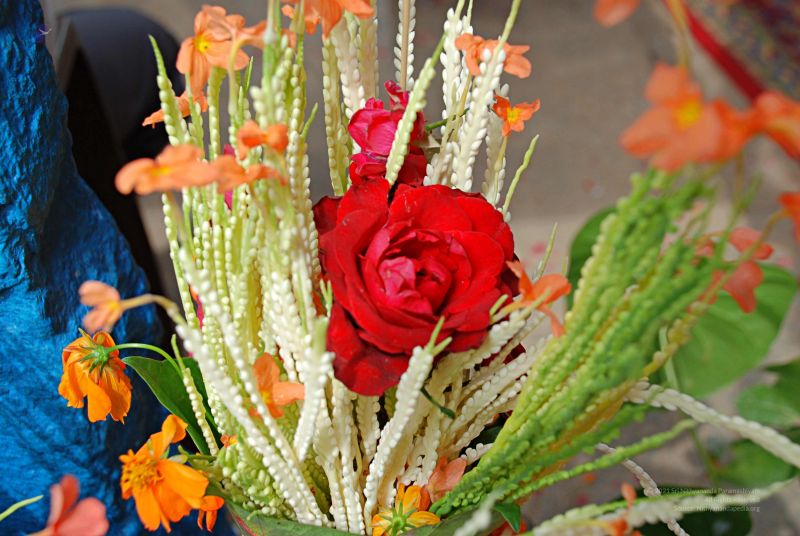 File:20081124 0735.jpg