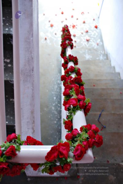 File:20081128 0436.jpg