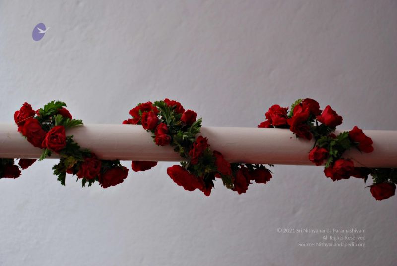 File:20081128 0489.jpg