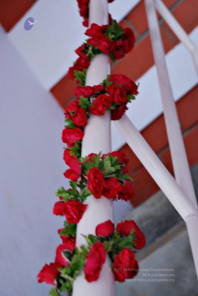 File:20081128 0498.jpg