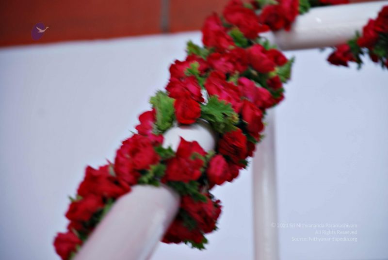 File:20081128 0499.jpg