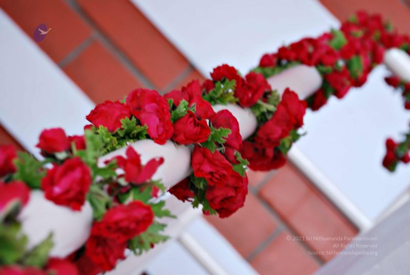 File:20081128 0504.jpg