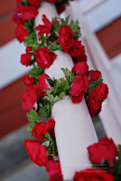 File:20081128 0505.jpg