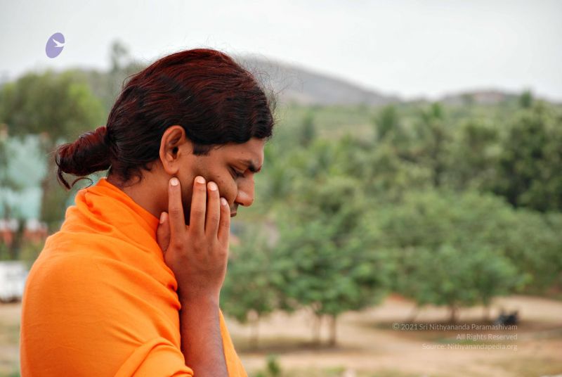 File:20081128 0623.jpg