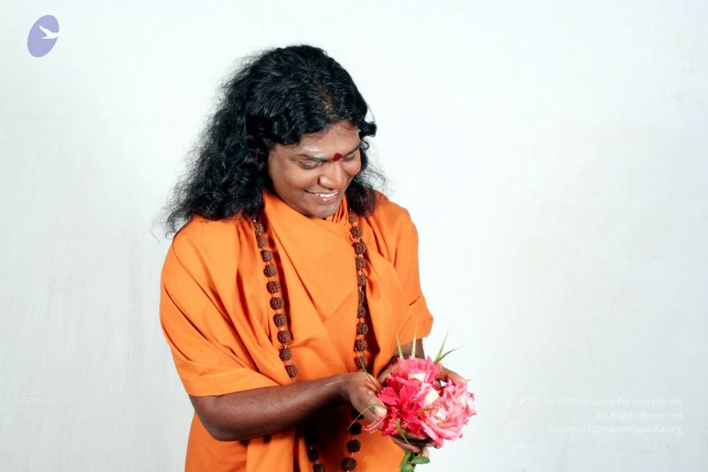 File:20081210 IMG 3881 CMP WM01.jpg