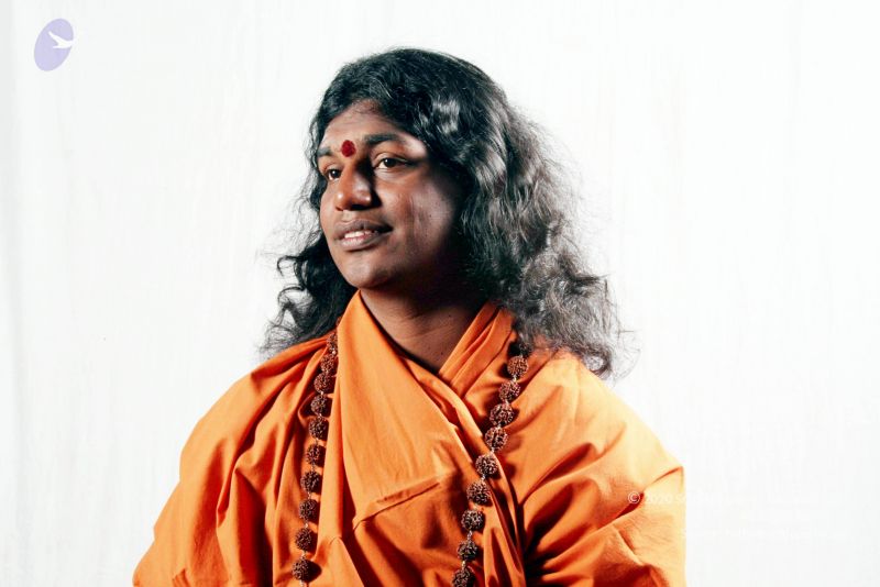 File:20081210 IMG 3916 CMP WM01.jpg