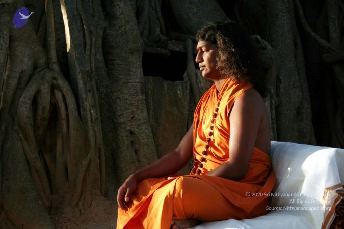 20081210 IMG 4305 CMP WM01.jpg