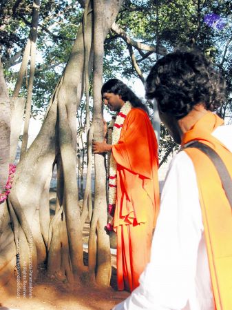 20081223 IMG 0081 CMP WM1.jpg