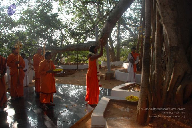 20081225 Photo 1093 16-mUtbKsx2Z9KI5o89enJQymWpfqlsMk.JPG