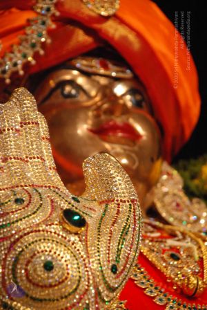 20081226 Photo 1047 16yeSxhEd9ZD8d9EOdgPX66kwrI5NEdUb.JPG