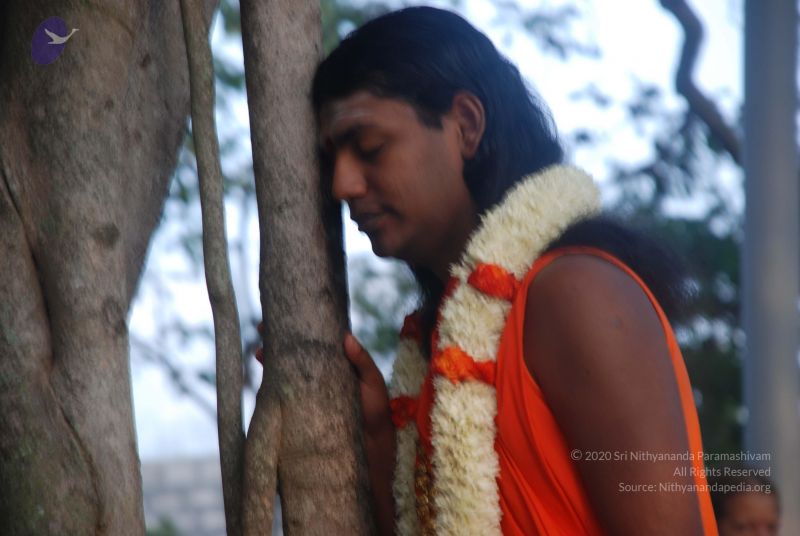 File:20081226 Photo 1179 1vQc0LjABQ0KmuBfxa7XERS-rSqJLGzK6.JPG