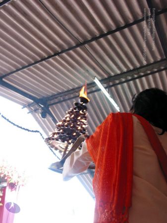 20081227 IMG 0414 CMP WM 0000.jpg