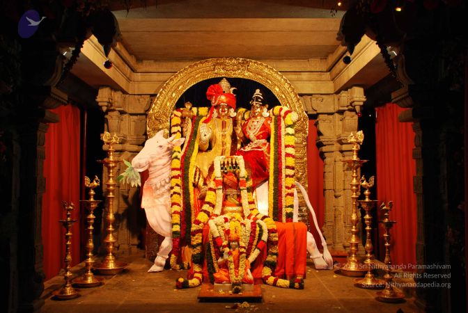 20081227 Photo 1030 1uMrup45Wo2wB0bqj-ubw4r6yZmQz2WA2.JPG