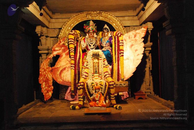 20081228 Photo 1646 1MU5cO11D yIyztbgbW9Z 6uouhKhLUnV.JPG