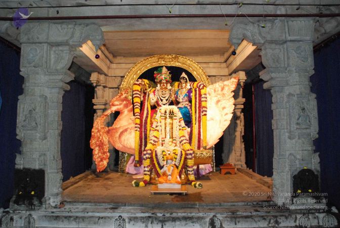 20081228 Photo 1658 1olCm-pZhbZV0F8ERaMqTyTOx7OmEUVjX.JPG