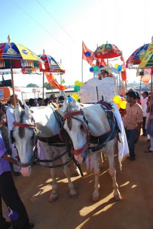 20081229 Photo 1215 1rN6il12O 5nX6l xYnvbptexQ4in1VL7.JPG