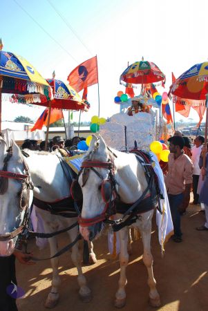 20081229 Photo 1216 1uZVoaxVM94AvxE-vxttogv5 GMHUteFy.JPG