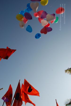 20081229 Photo 1518 1GMUwCSad6FXbtve7jpk5O7Zt84my7EQL.JPG