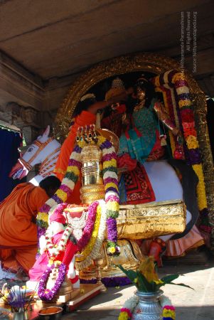 20081229 Photo 1678 1MFDE8O7EPVlsaMyDSp9QB8sbGTlbg07y.JPG