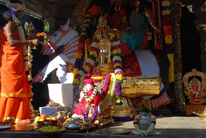 20081229 Photo 1711 1PVXeGYRQlUB82WDxhAiBlOoLO62aNyFF.JPG