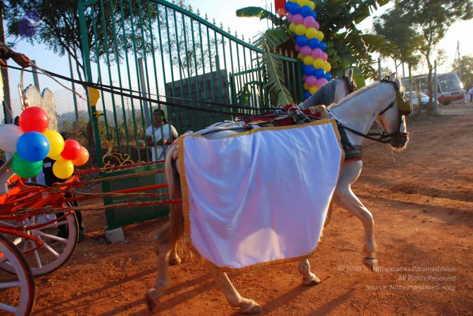 20081229 Photo 3245 1TWuTlVbPMl-CoCg0Wv9ZvnxLp -fnjXN.JPG