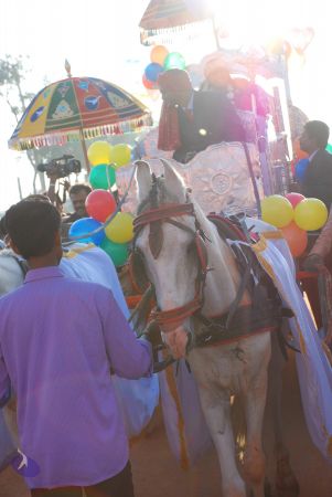 20081229 Photo 3394 1ZdPai3LjctkCY Iy5TK3-S5bfYwMlNJe.JPG