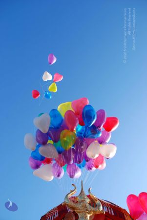 20081229 Photo 3594 1bpbHEL4Ydq21h8ftGDXJzwAPvch2J2LK.JPG