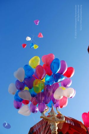 20081229 Photo 3595 1jm-D79t9GCEQ1dwriIKE1b3bhtobsvR0.JPG