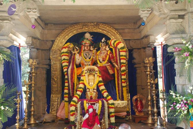 20081230 Photo 1058 1pl0wnzMUWht17lKWKbwIvjBmQ3W-mY58.JPG