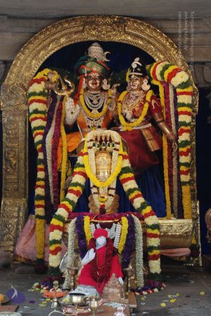 20081230 Photo 1073 1TQ7 yHrQY5Y5lPJca50MOSWQtqR18xQj.JPG