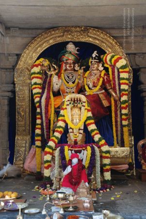 20081230 Photo 1075 1mqPgGARFonreypse1H3J-lTSs14iLq T.JPG