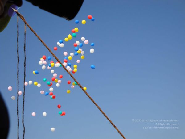 20081230 Photo 1780 1iQ0XIBF73KNlHbWnuBP4W-h5kF6OiWvG.JPG