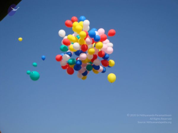 20081230 Photo 1781 1Mo173DCj9bS3-q2gqrEl5KH3ClwyT7-7.JPG