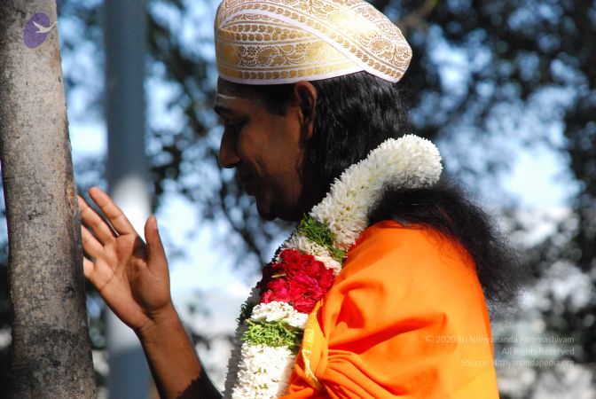 20081230 Photo 2101 1efg4vfnfyRkgpVw80VHc Fz-KIAuXplo.JPG