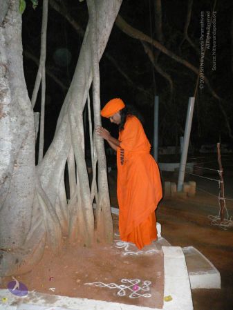 20081230 Photo 2902 13bkFKgPLUC8MDvaN-VJdDcAbr6S33fpd.JPG