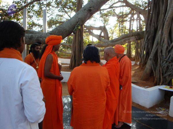 20081230 Photo 3091 1ZzKOnPdsJbMS5a9tAtK-qMcM8L9v2Zy .JPG