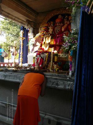 20081231 Photo 1235 17l-eU4MgDsUTFSLFPgcBrNFnmdxeOiKj.JPG