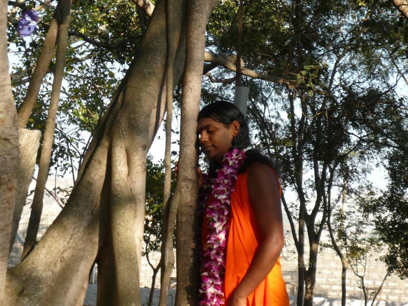 File:20081231 Photo 1251 1IiVXeMyqZpqIb ZfEbwSqIQCmtDFHVGT.JPG