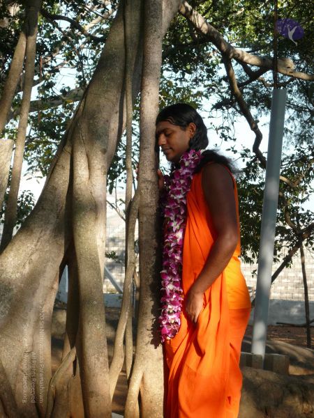 File:20081231 Photo 1257 1c1L1jxfFgSA0~kzf4jZ8P4uyvGtcRK4.JPG