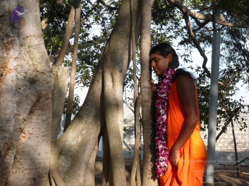 File:20081231 Photo 1261 1VXykkze-mRt3DY4tZo2zVsQWN4xnUehI.JPG