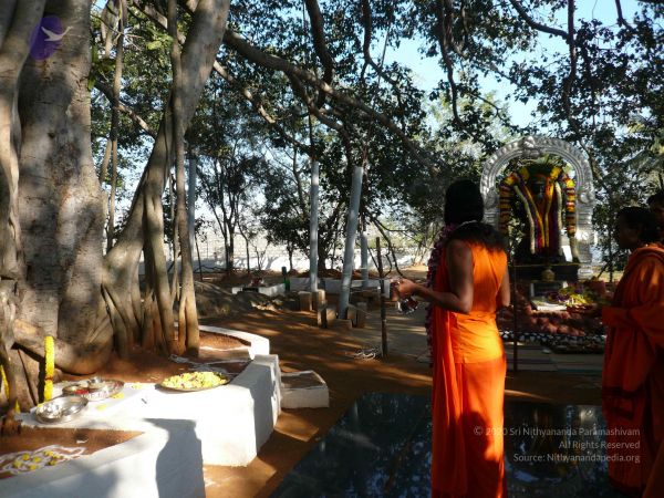 20081231 Photo 1266 1Y7bDHoAGMbZvU0A97yZ4FGUHoumJnV3g.JPG