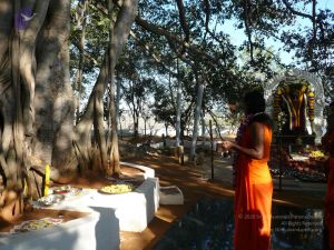 20081231 Photo 1270 1dc2Mv59L0XJhZ2Aj63dMedQSHokbNXV6.JPG