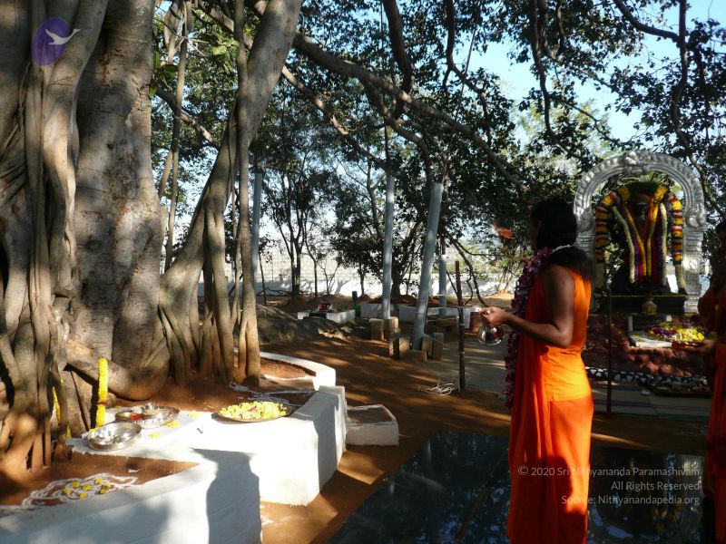 File:20081231 Photo 1270 1dc2Mv59L0XJhZ2Aj63dMedQSHokbNXV6.JPG