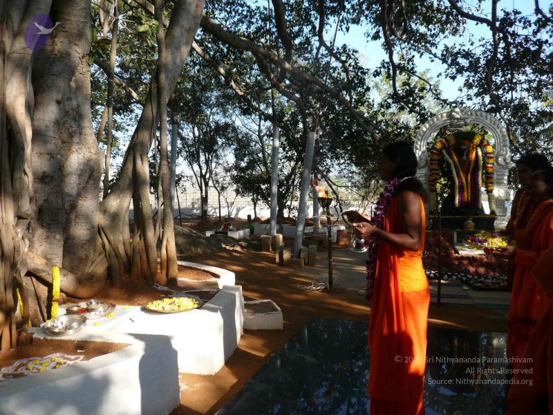 File:20081231 Photo 1271 18NN7 0P9m4zAAcID07lnYrPrMLZN2xy3.JPG