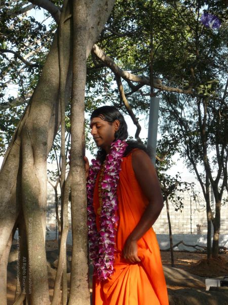 File:20081231 Photo 1278 18dz3YvA oIjlouH-PAlIe1RldWvra97V.JPG