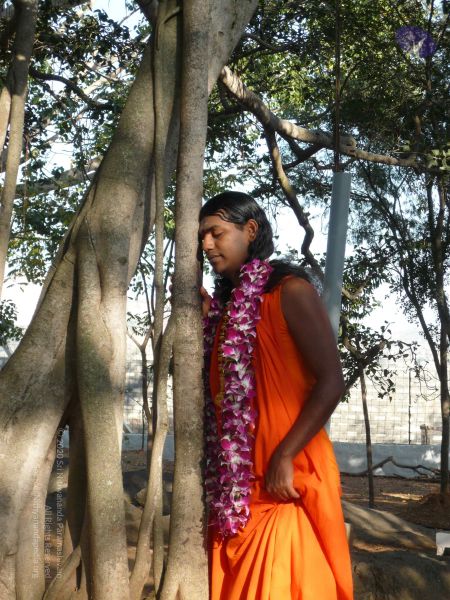 File:20081231 Photo 1279 1mLSTw-tSvIun51qrpWgqlnQ1P2w2aLnP.JPG