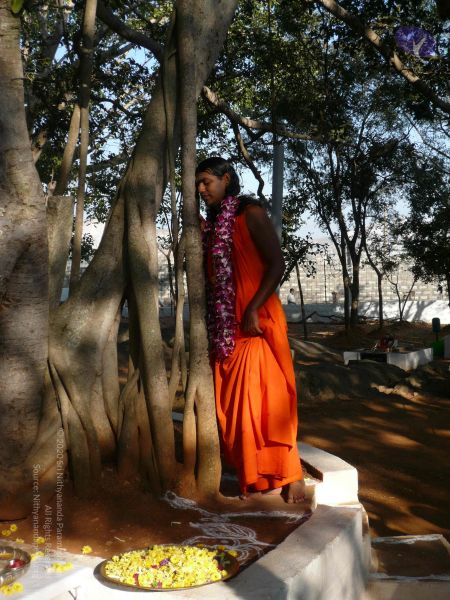 File:20081231 Photo 1282 1CJAkhzvRjuAOTeRYHO-rZLReJwStAzTS.JPG