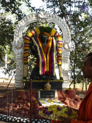 20081231 Photo 1283 1lvF5DyxWje-9fwk9LbBNYQbkw3INS8We.JPG