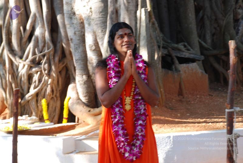 File:20081231 Photo 1417 1D jv7Dw7ifjVCeW3PpjTMgBAffa--cU5.JPG