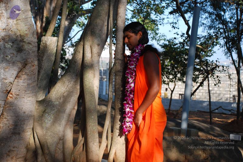 File:20081231 Photo 1419 1pLUblFwkqzFoVvh925Gd256V4SVMIV z.JPG